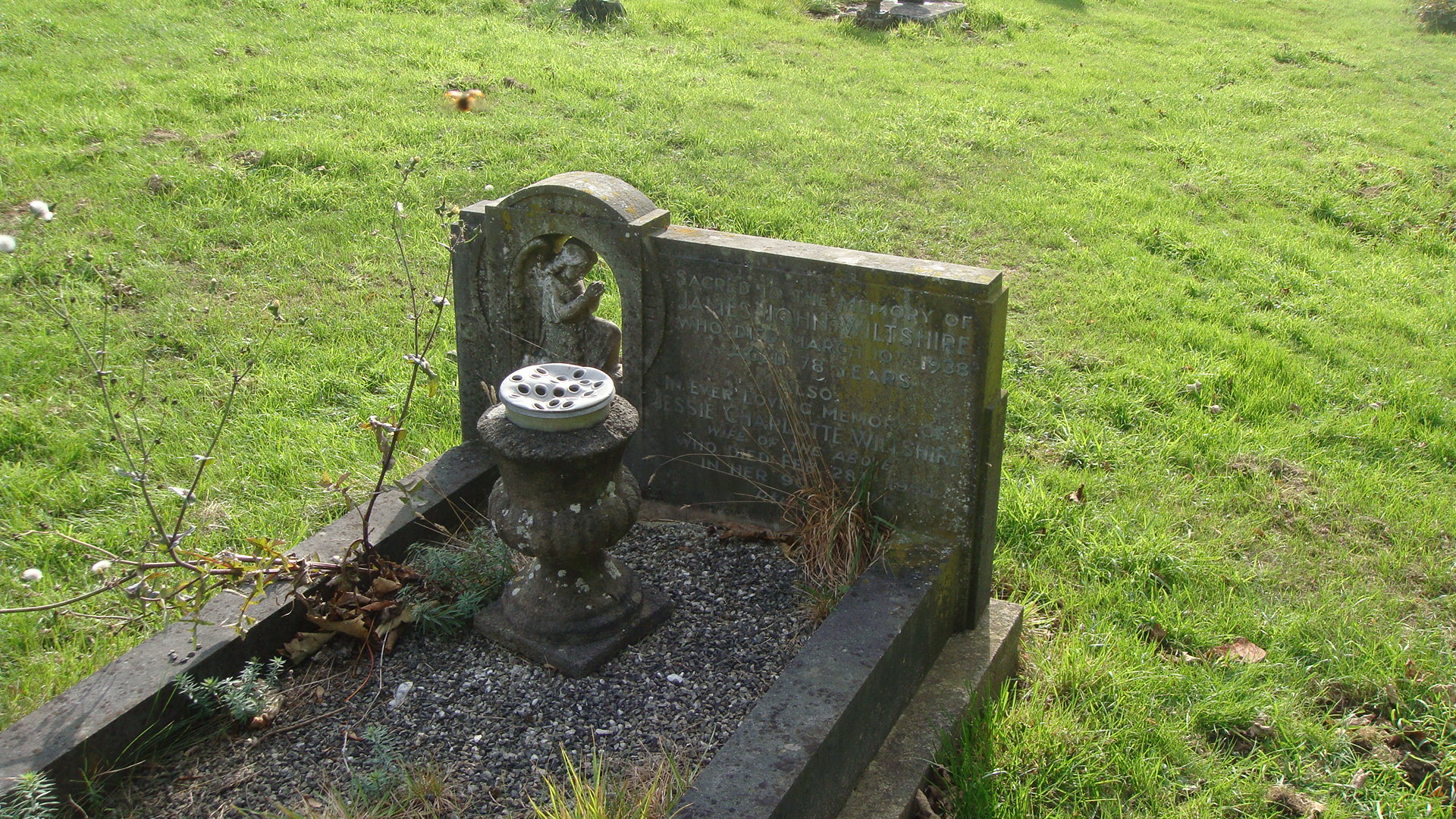 James John Wiltshire (2)