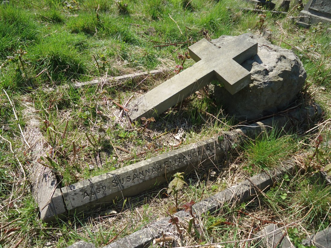 William Henry and Susannah Read