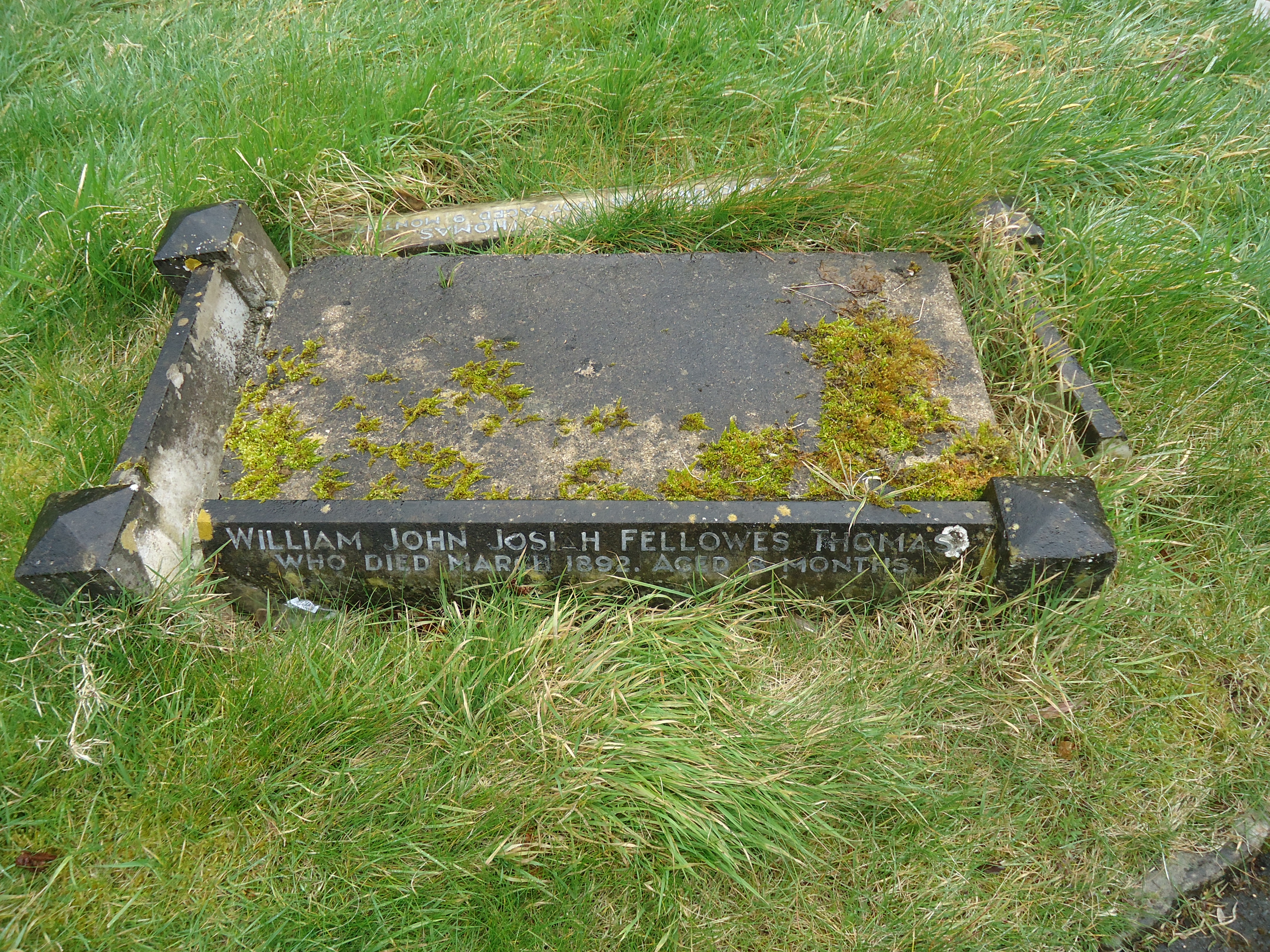 William John Josiah Fellowes Thomas 1892