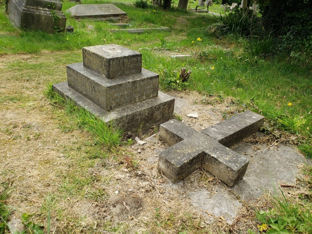 This image has an empty alt attribute; its file name is swinhoe-family-3.webp